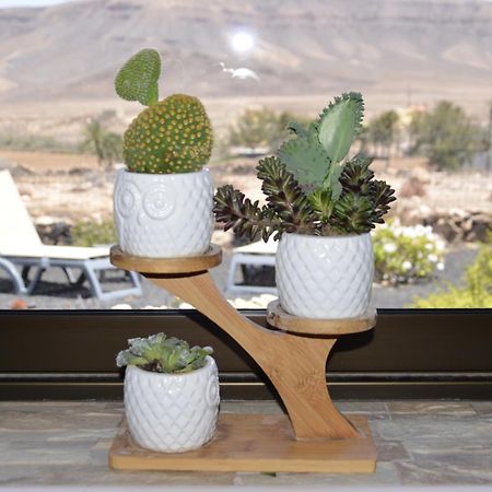 Вілла Casa Vista Oasis En Fuerteventura La Guirra Екстер'єр фото