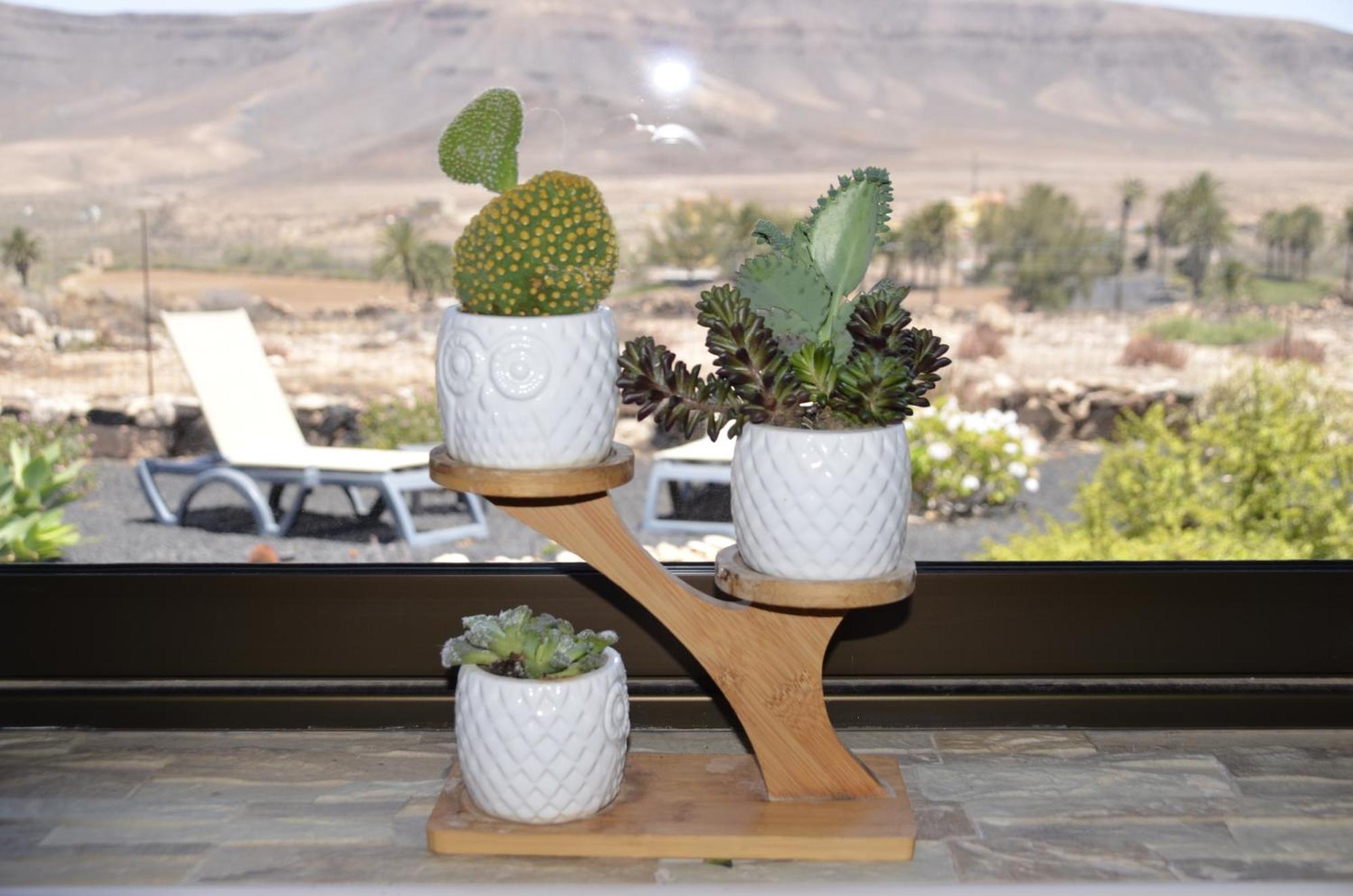 Вілла Casa Vista Oasis En Fuerteventura La Guirra Екстер'єр фото
